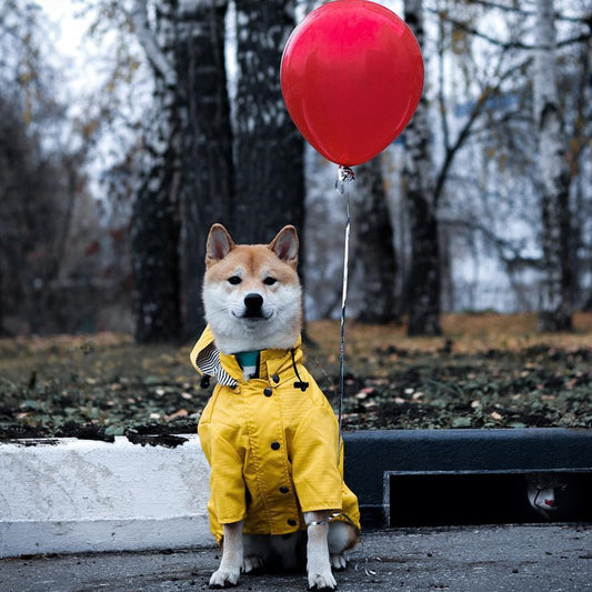 Tide Brand Windproof And Rainproof British Retro Padded Dog