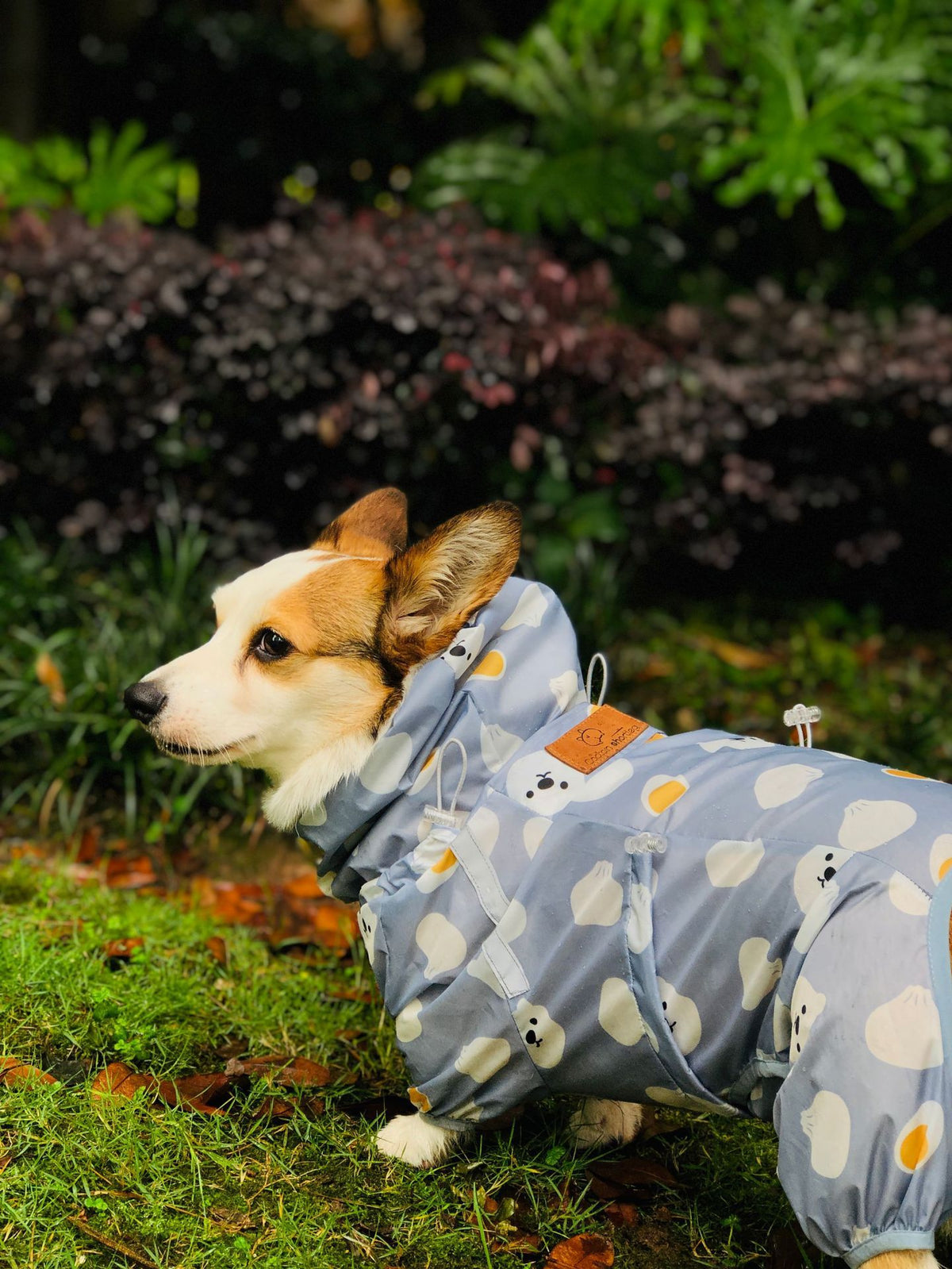 Short Leg Captain Golden Retriever Corgi Fully Wrapped Waterproof