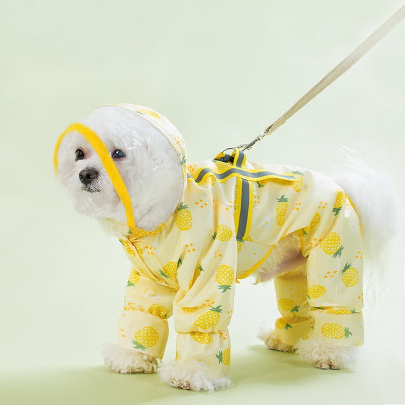 Fruit Printed Puppy Waterproof Raincoat