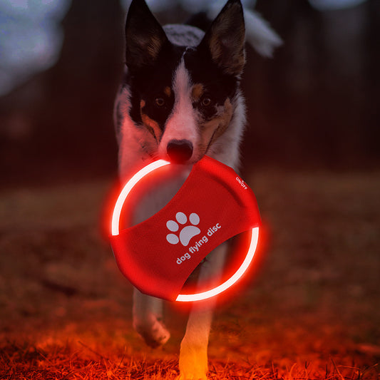 Dog Flying Discs Light Glowing LED Luminoustrainning Interactive
