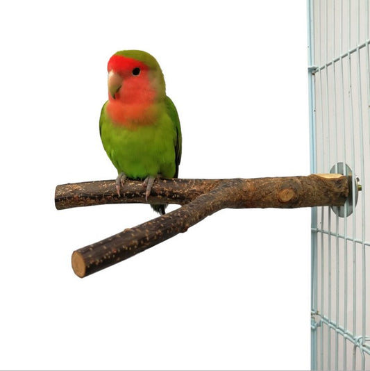 Bird Standing Frame Rattan Ring Chewing Toy Cage