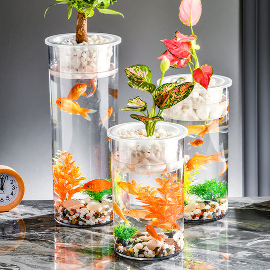 Living Room Micro Landscape Desktop Ecological Pot Transparent