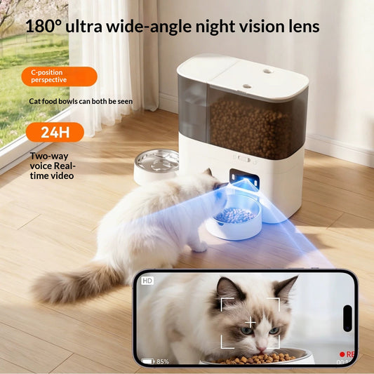 Cat Smart Water Fountain And Automatic Feeder