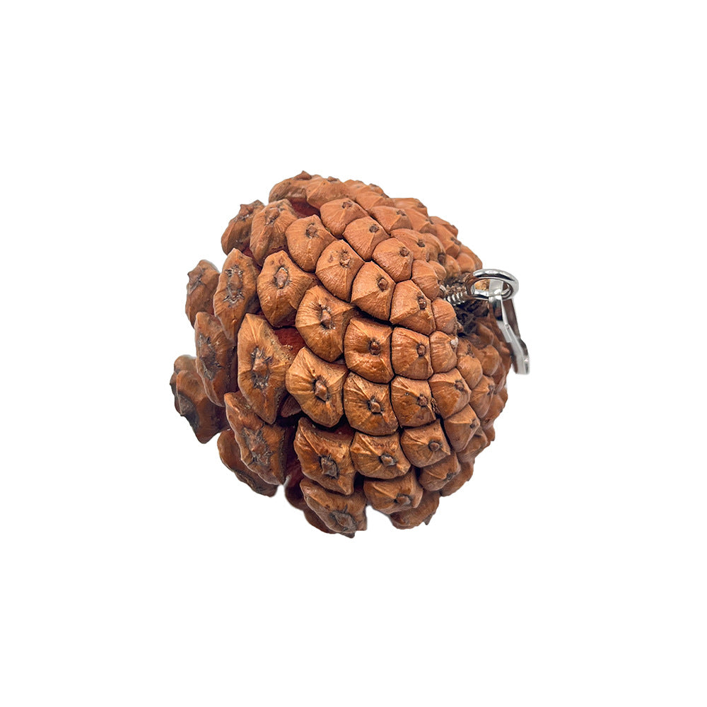 Parrot Bite Toy Can Hang With Studs Pine Cones