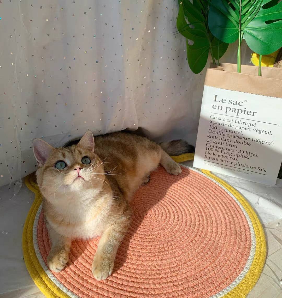 Cat Climbing Frame Sisal Scratching Board Cattery Decoration Paw