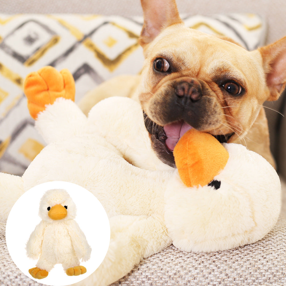 Toys & Play
