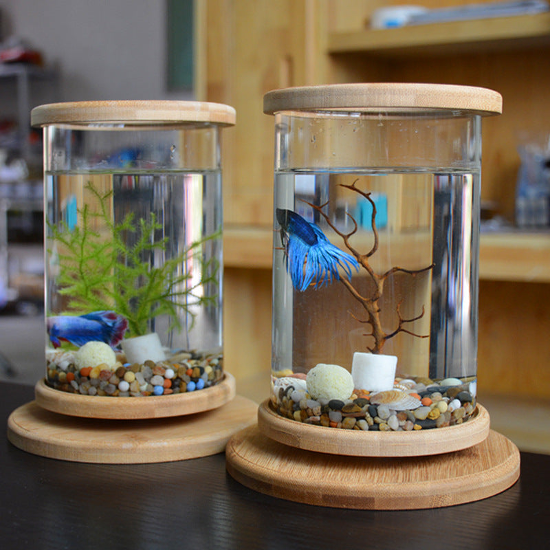 Aquarium & Fish