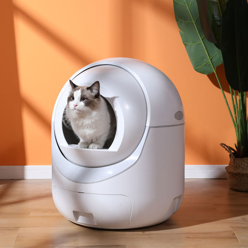 Litter & Potty