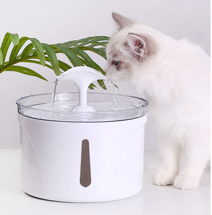 Feeding & Water