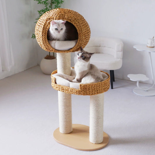 Green Song Woven Cat Climbing Frame With Thick Posts Tree Bed And