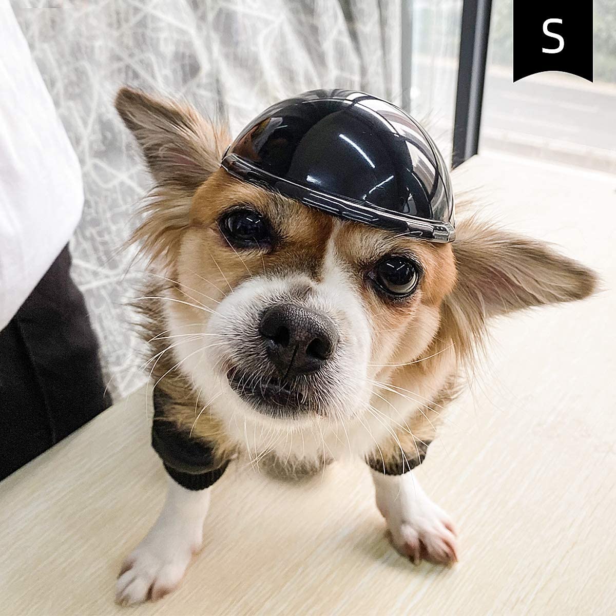 Pet Helmet New Motorcycle Dog Cat Accessories Pet Toy Hat Headwear