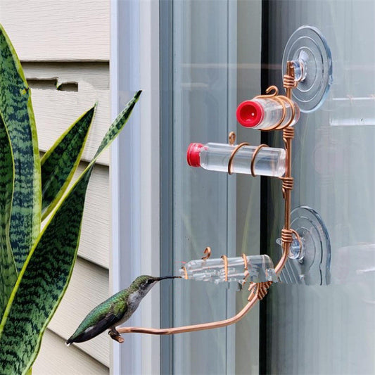 Garden Bird Feeder Supplies Hummingbird Drinker Suction Cup Easy To