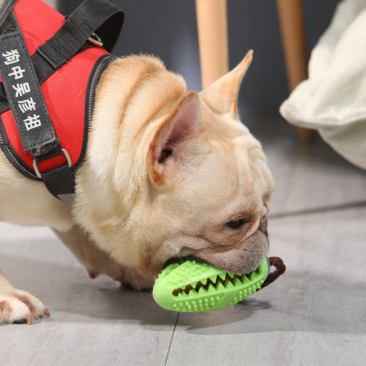 New Pet Dog Food Leakage Ball Toothbrush Elastic Rubber Molar Bite