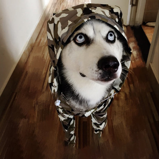 Dog Raincoat Edge Shepherd Four-legged Big Clothes Labrador Satsuma