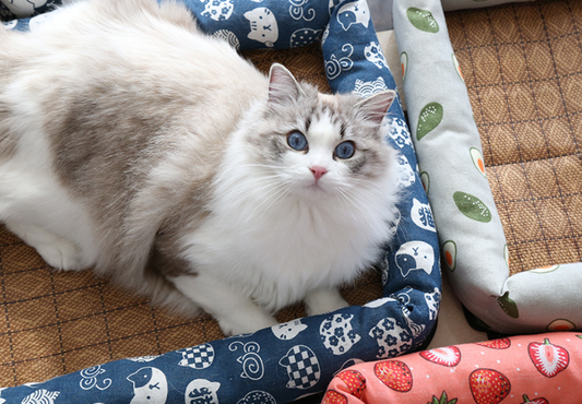 Multi-color Into Cute Fashion Styles Summer Pet Cooling Ice Mat