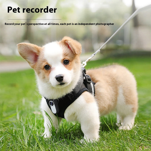 Hd Pet Thumb Camera Outdoor Sports Magnetic Mini
