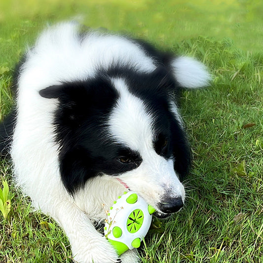 Phedgehog Shape Dog Toy Leaking Food Toys For Small Large Dogs Cat