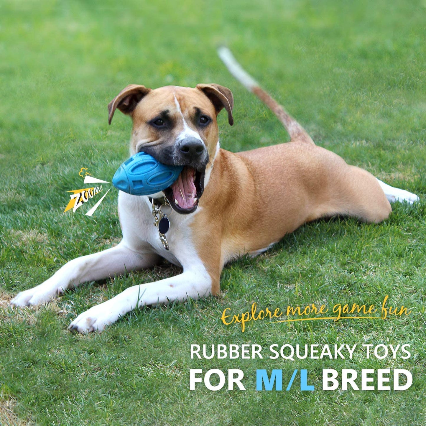 Pet Supplies Dog Toys Rubber Sounding Rugby Wear-resistant