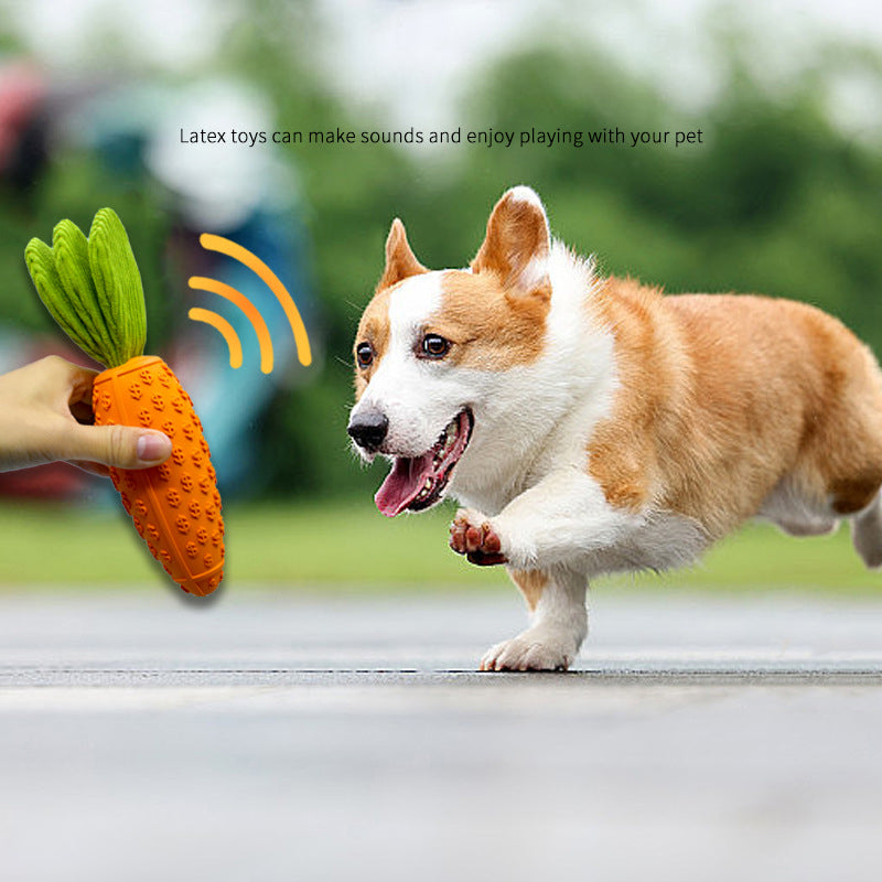 Carrot Dog Chew Toys Durable Rubber Squeaky Toy Shaped For Dogs