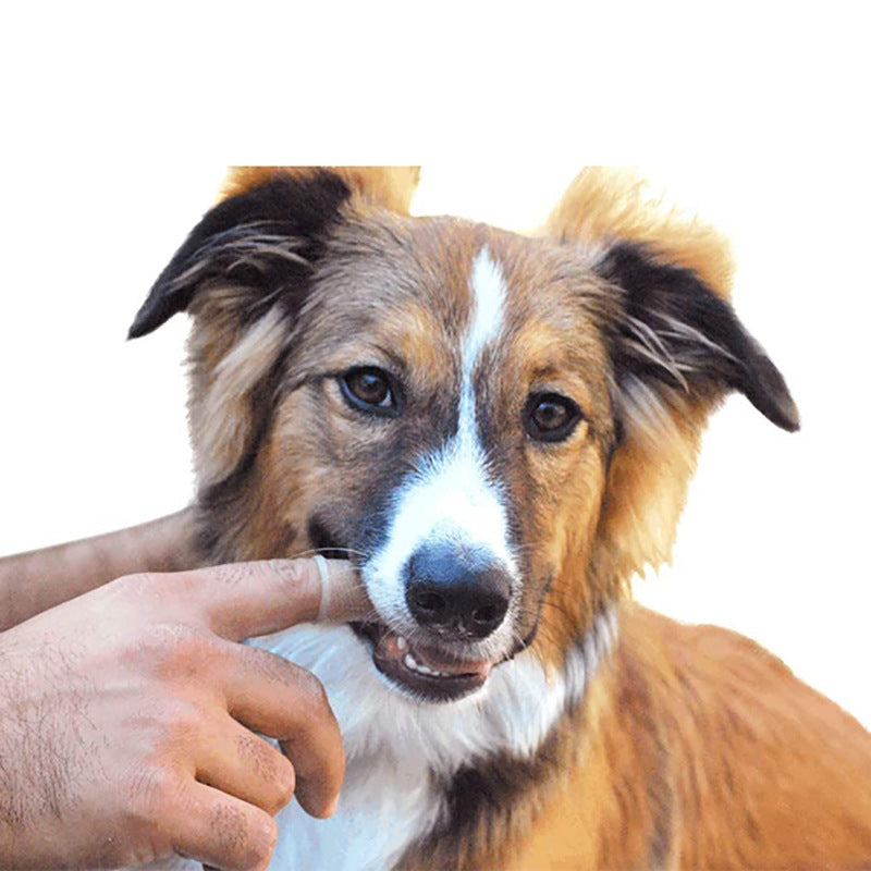 Soft Silicone Pet Finger Toothbrush With Case