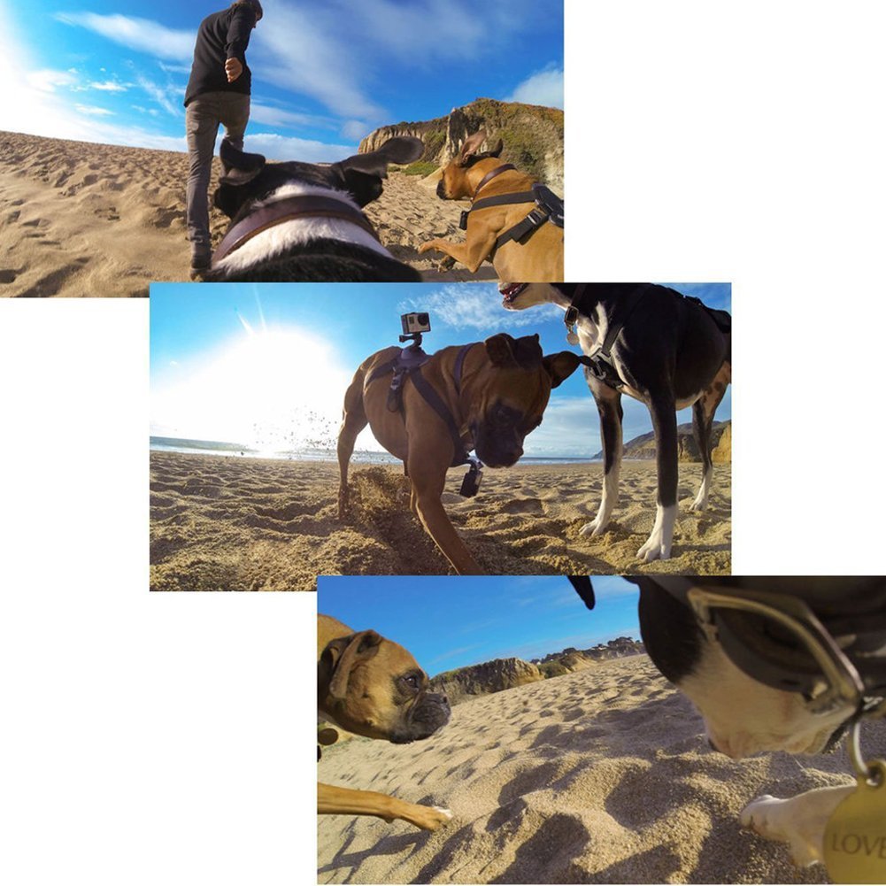 Dog Harness Chest Strap Camera Accessory For Dualuse Back On