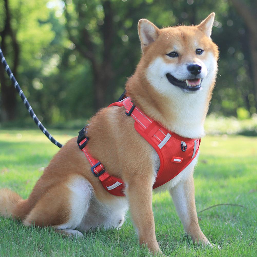 Nylon Dog Harness No Pull Breathable Reflective Pet Vest For Small