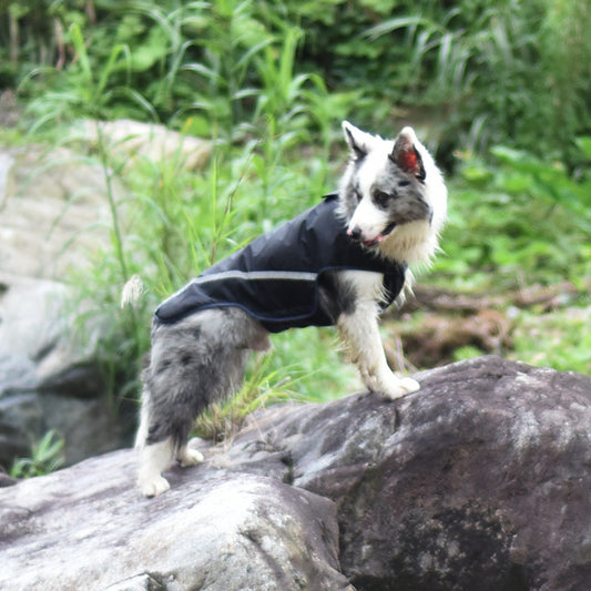 Pet Raincoat Water Repellent For Dogs