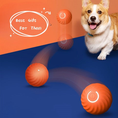 Pet Dog Rubber Ball Toys For Dogs Resistance To Bite Chew Puppy