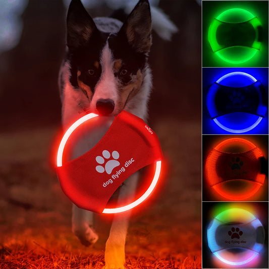Dog Flying Discs Light Glowing LED Luminoustrainning Interactive