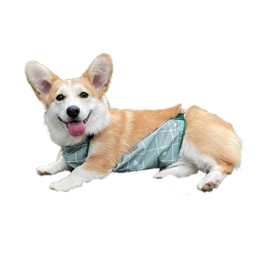 Corgi Dudou Pet Summer Dog Raincoat