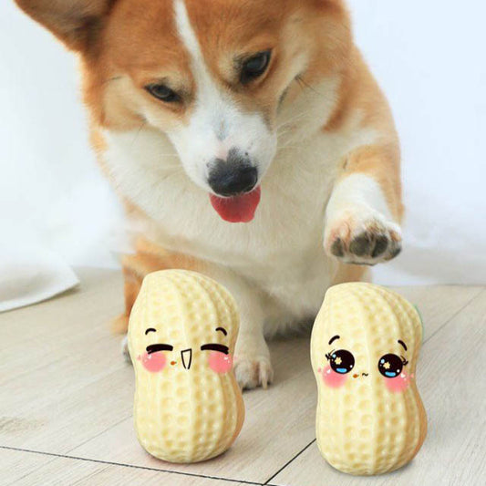 Funny Pet Dog Squeaky Toys For Small Middle Dogs Bite Resistant