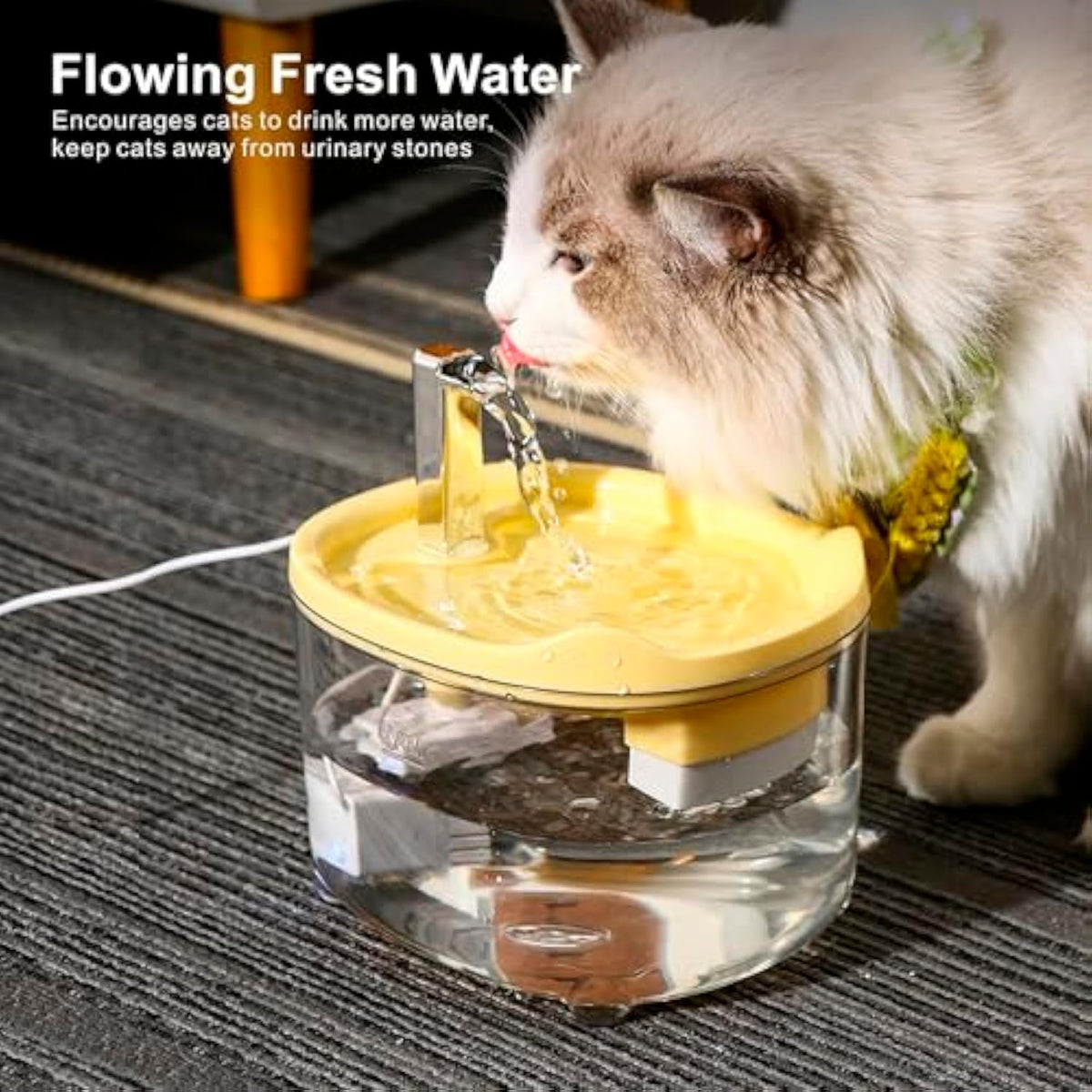 Cat Water Fountain Premium 1500ml Pet For Cats Dogs Kitten