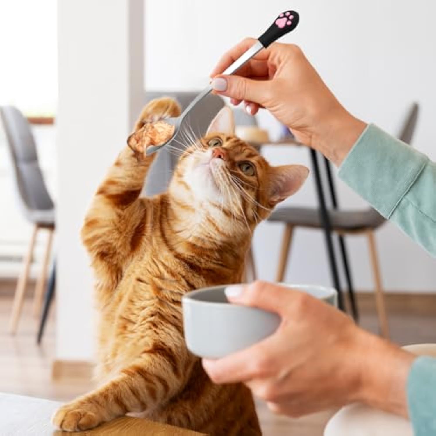 2 Pcs Dog Cat Spoon Pet Can Stainless Steel Claw Spoons For Wet