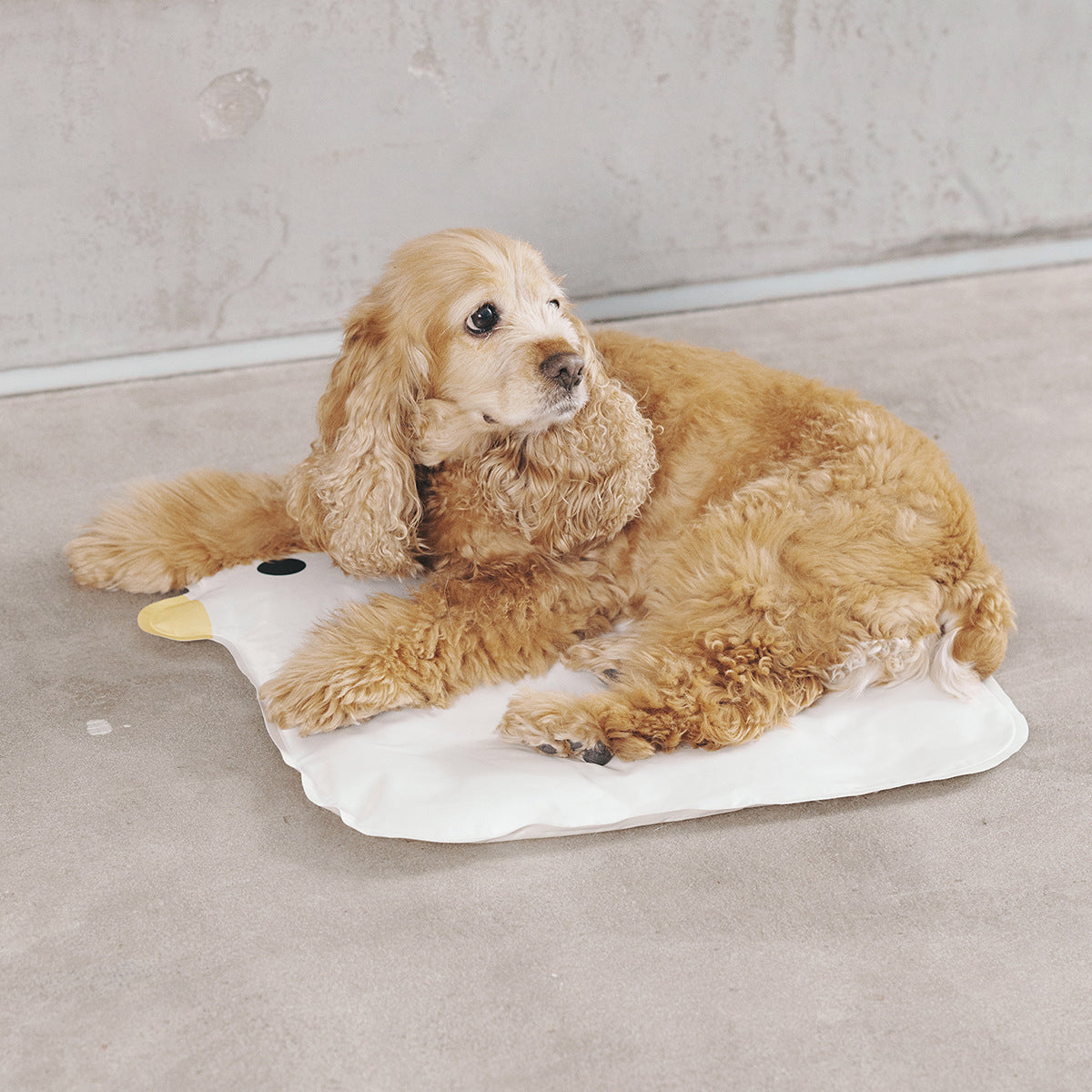 Washable Chick Cooling Mat Puppy Non-stick Hair Sleeping Pet Pad