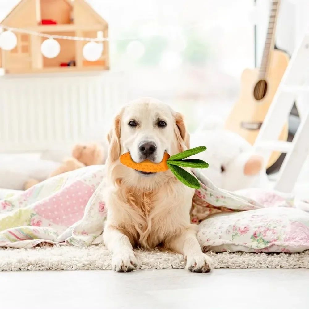 Carrot Dog Chew Toys Durable Rubber Squeaky Toy Shaped For Dogs