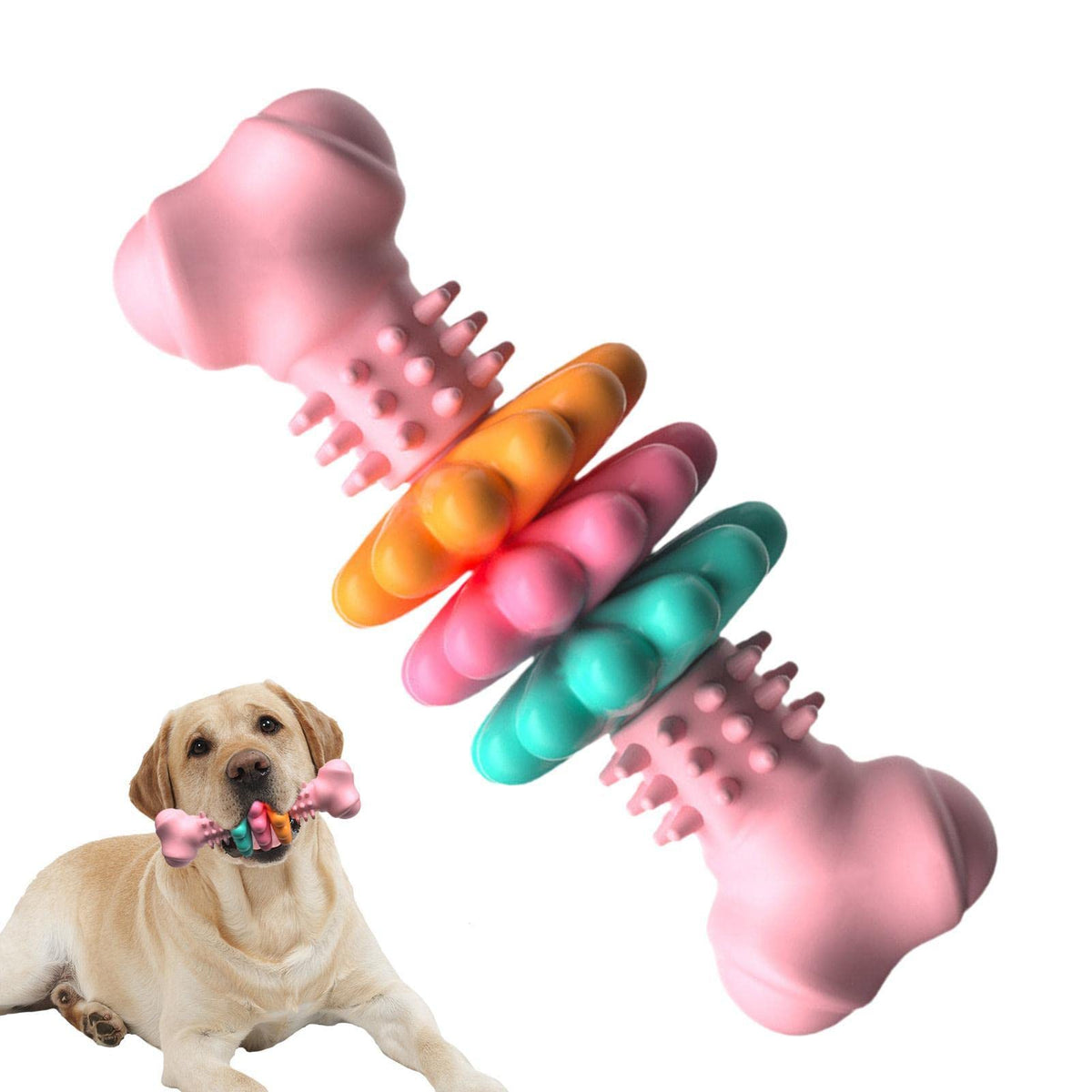 Dog Chew Toy Bone Type Dogs Teeth Cleaning Toys Indestructible Tpr