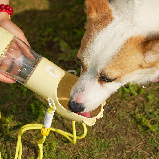 Pet Water Cup Portable Bottle Outdoor Dog Drinking Fountain Feeding