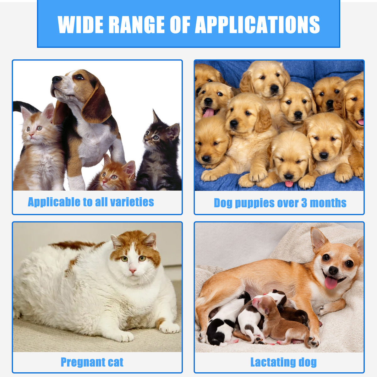 Natural Pet Wound Spray For Cats Dogs Skin Care Cuts Anti Itch