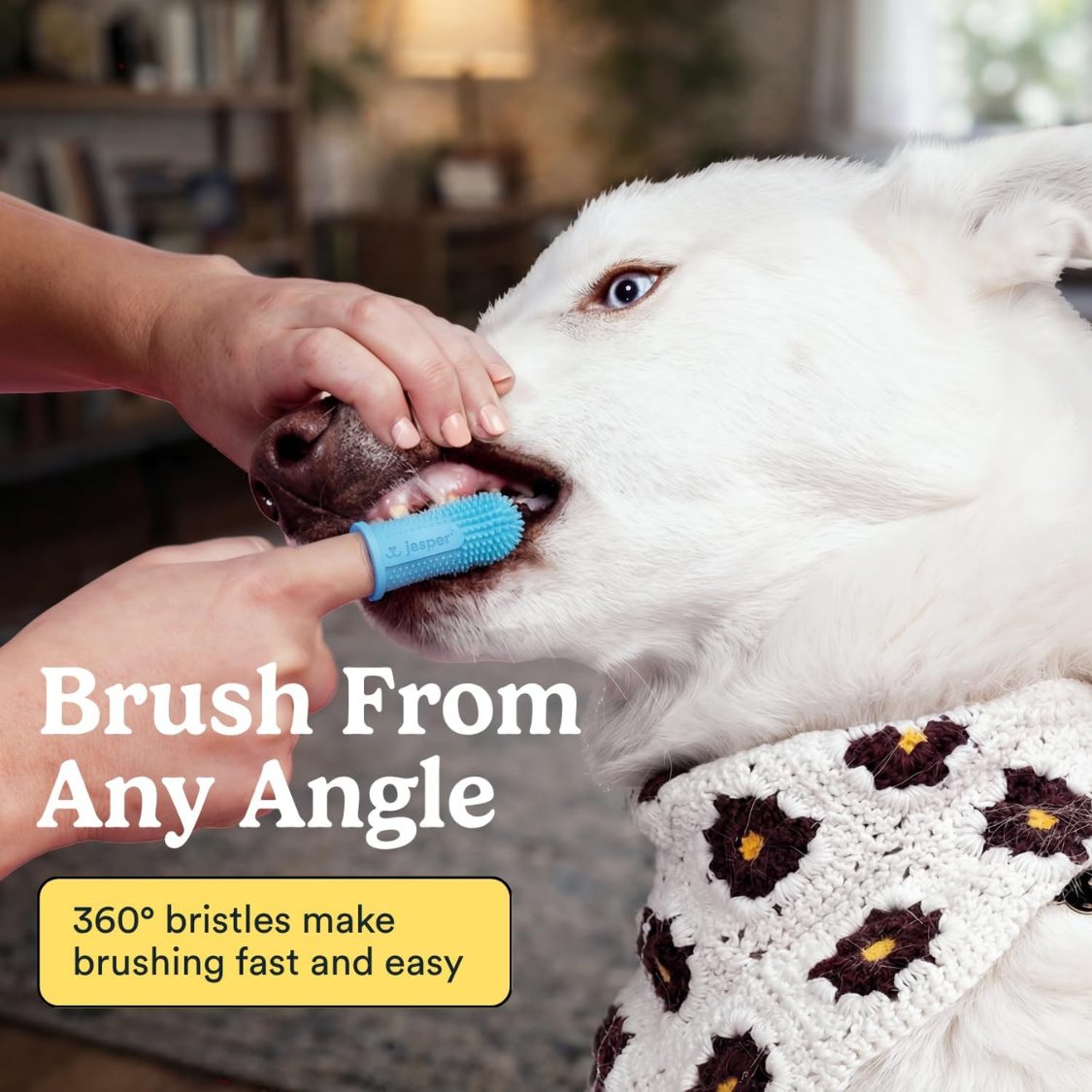 Dog Toothbrush 360 Tooth Brushing Kit Finger Cat Brush Teeth
