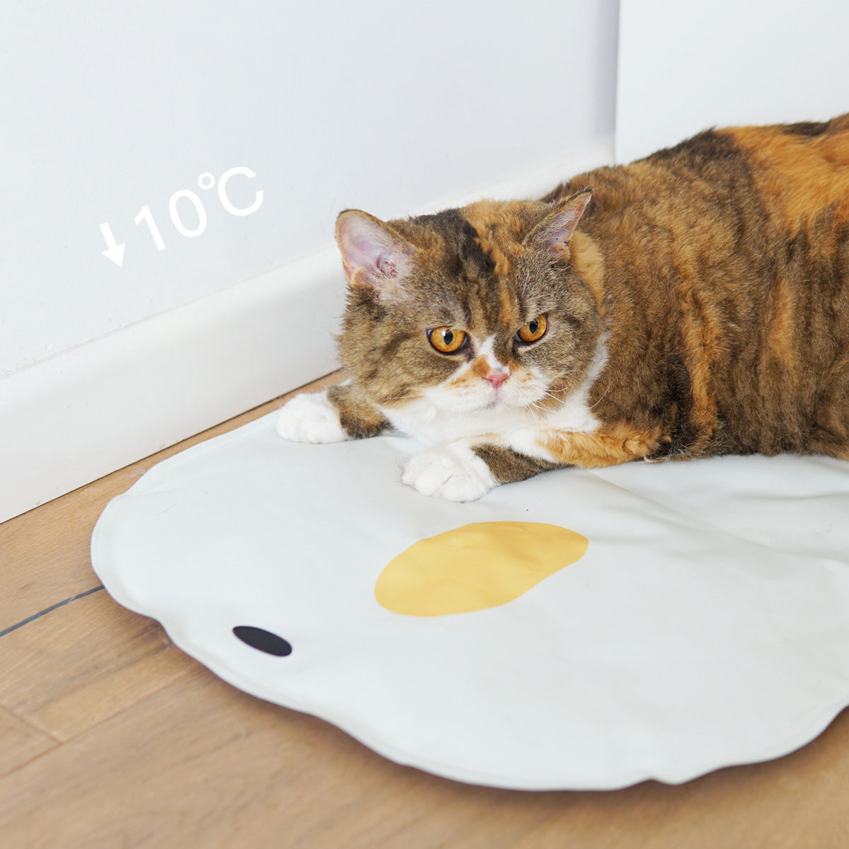 Washable Chick Cooling Mat Puppy Non-stick Hair Sleeping Pet Pad