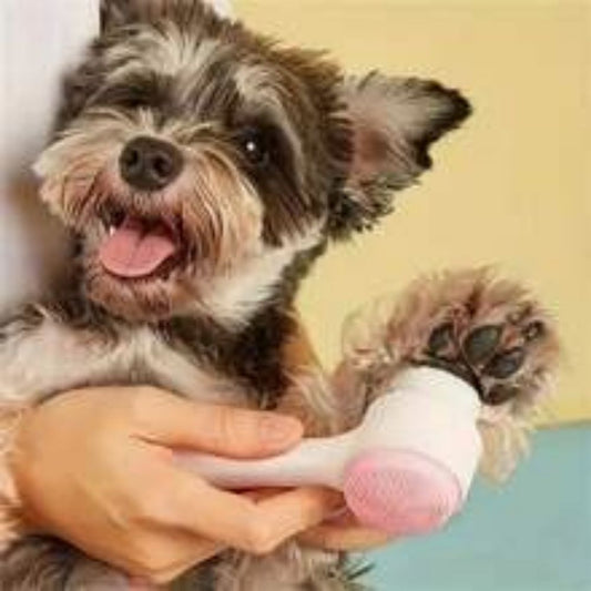 Easy Clean Nylon Pet Paw Brush Gentle Grooming And Massage Tool For