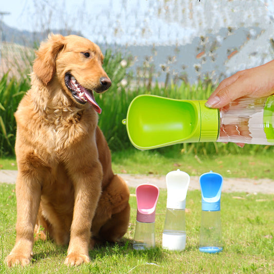 The Dog Travels With A Water Cup To Drink From An Outdoor Fountain