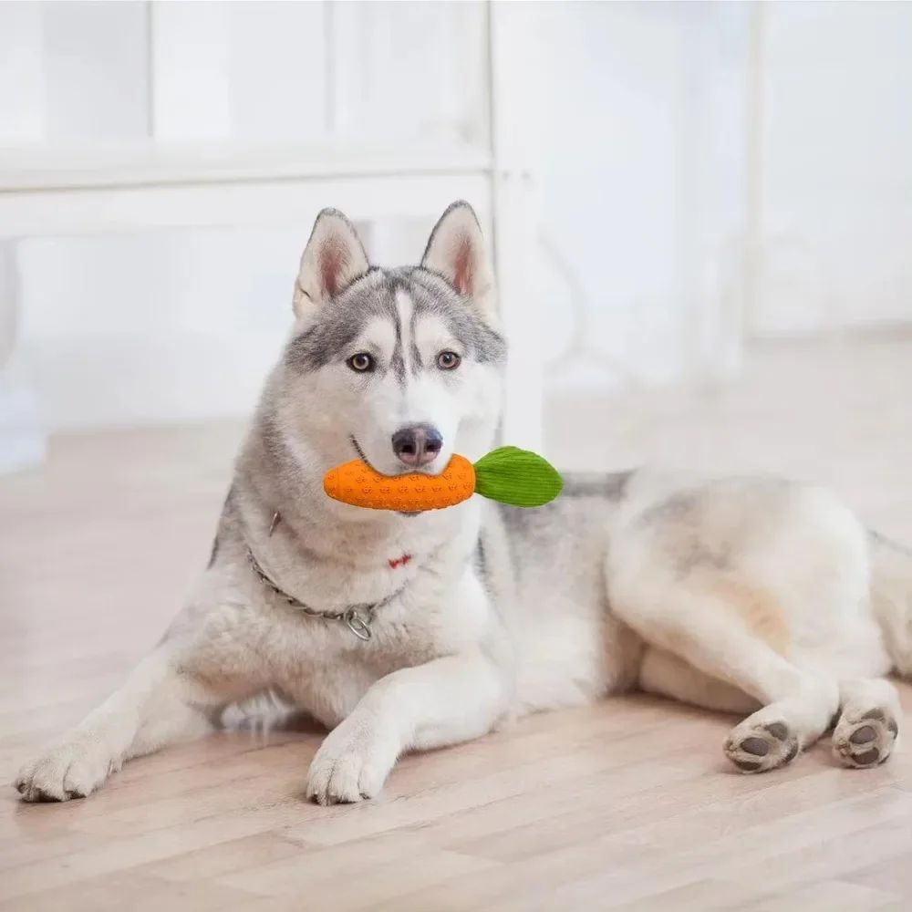 Carrot Dog Chew Toys Durable Rubber Squeaky Toy Shaped For Dogs