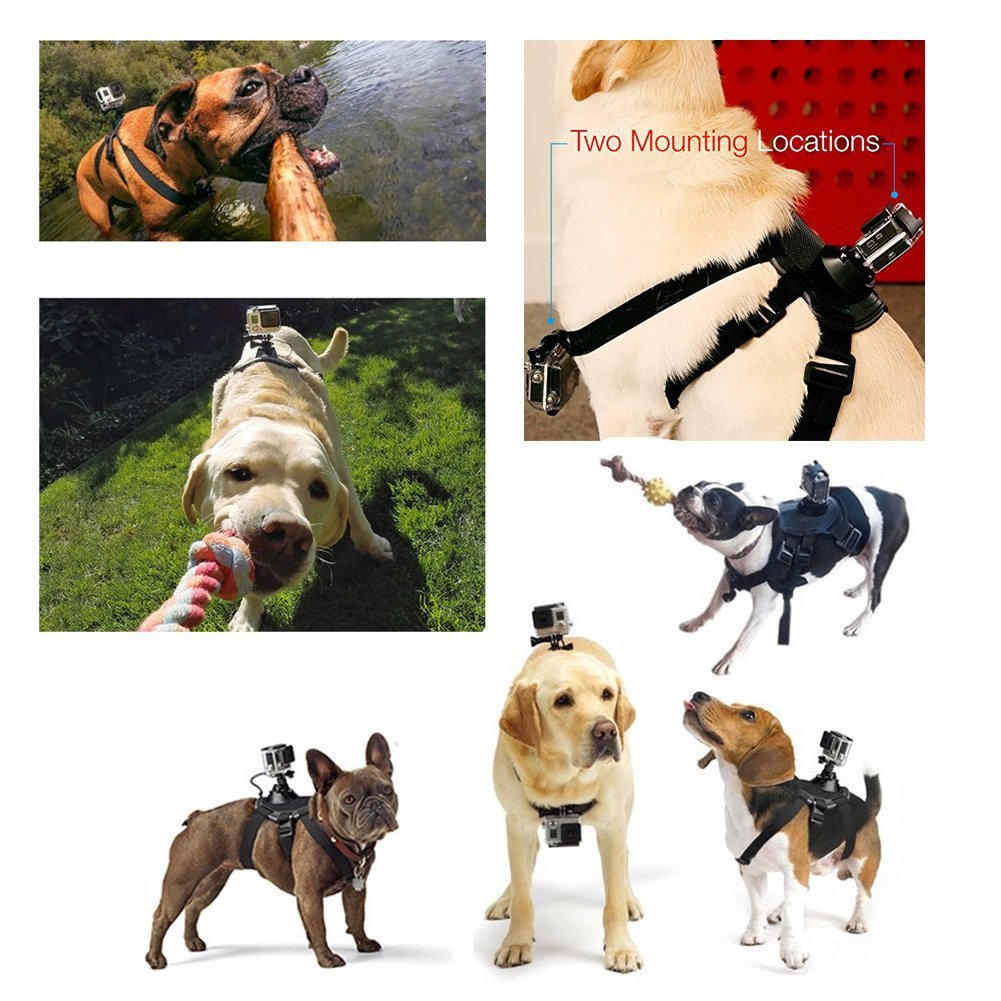 Dog Harness Chest Strap Camera Accessory For Dualuse Back On
