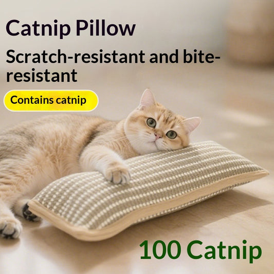 Cat Toy Catnip Pillow Scratching Post