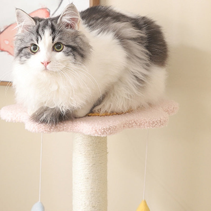 Cat Climbing Frame Sisal Small Scratching Post Tree Bed
