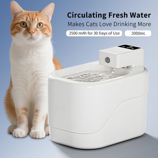 Intelligent Sensor Pet Drinking Fountain 2000ml Large Capacity USB