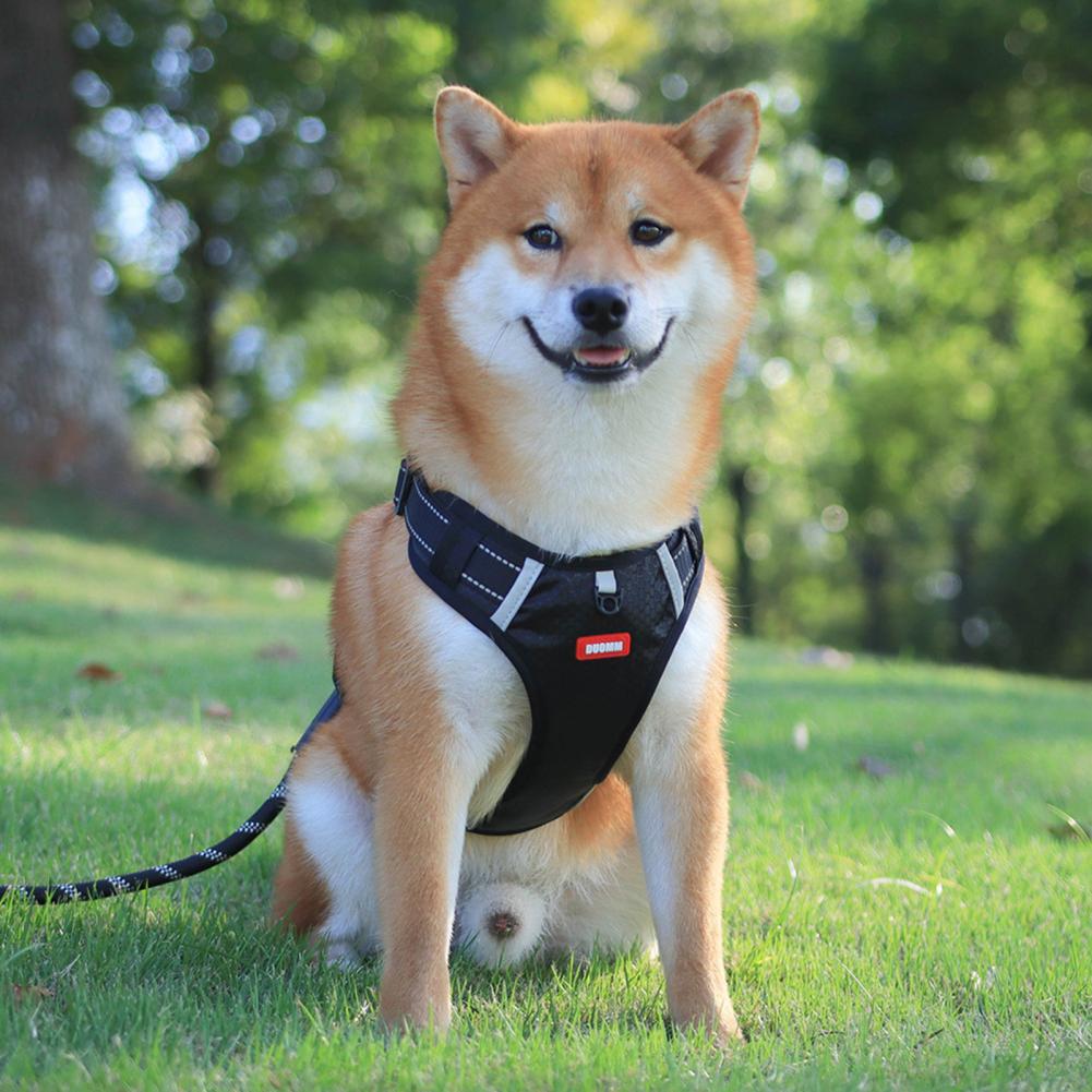 Nylon Dog Harness No Pull Breathable Reflective Pet Vest For Small