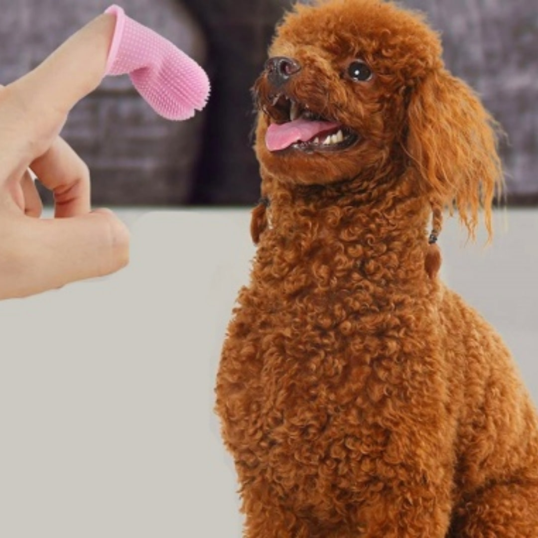 360-degree Silicone Finger Toothbrush For Cross-border Pets Deep