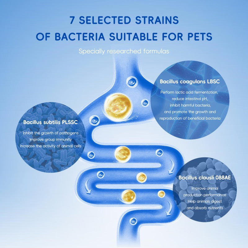 Bark And Meow Probiotics For Dogs Cats 7 Tailored Strains